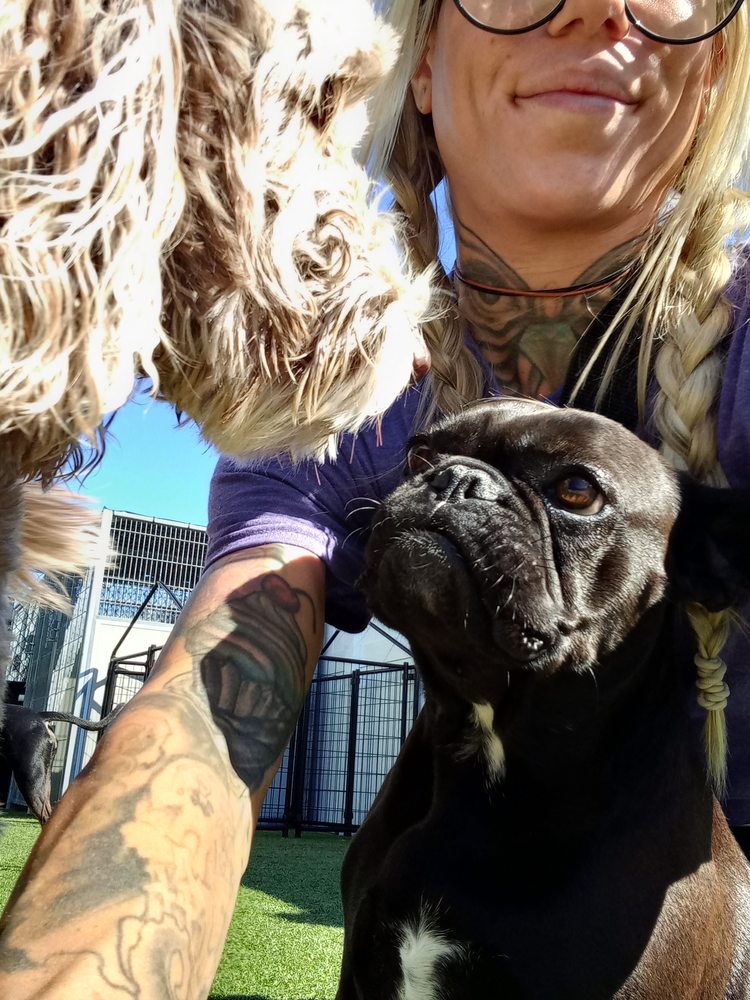 THE ZEN DEN DOG RESORT 20 Photos 22740 CR44A, Eustis, Florida