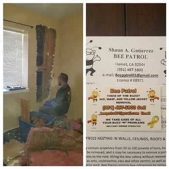 Bee Patrol & Pests - Pest Control Near Me - Moreno Valley, California