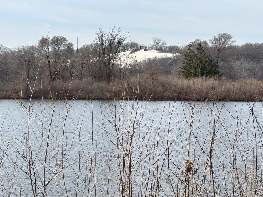 Normandale Lake Park Logo