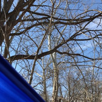 Beckley Creek Park - Lying in a hammock open to bluest sky ahh - Parks Near Me - Louisville, Kentucky
