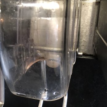 Jersey Mike's Subs - Moldy ice dispenser looks like a shower that hasn't been cleaned in 6 months. Nasty. - Fast Food Near Me - Fredericksburg, Virginia