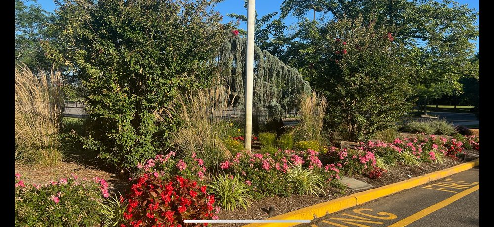 Justin Tree Services & Lawn Care - tree service in Lawrence Township, NJ