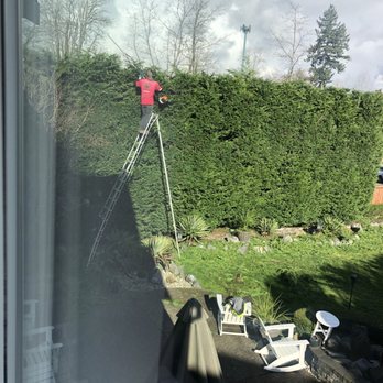 Lineage Tree Care LLC - Tree Services Near Me - Monroe, Washington