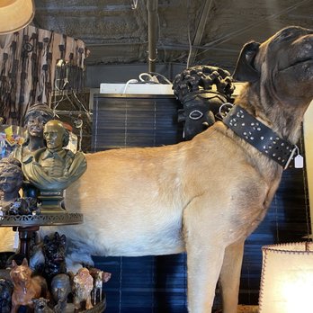 Uncommon Objects - Antiques Near Me - Austin, Texas Uncommon Objects - Antiques Near Me - Austin, Texas