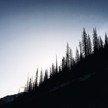 Rio Grande National Forest - Don't be on the roads after dark. - Hiking Near Me - Creede, Colorado