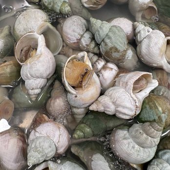 Seaside Buffet - sea snail - Buffets Near Me - San Diego, California