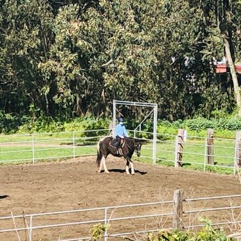 Moss Beach Ranch - Best trainer ever. - Horseback Riding Near Me - Moss Beach, California Moss Beach Ranch - Best trainer ever. - Horseback Riding Near Me - Moss Beach, California
