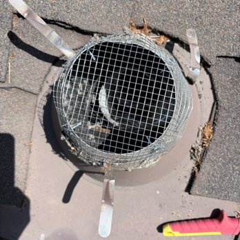 AmTex Rodent Solutions - Pest Control Near Me - Campbell, California AmTex Rodent Solutions - Pest Control Near Me - Campbell, California