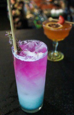 Wildcrafters Booze-Free & Kava Bar by null