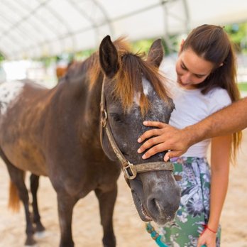 Wellness Resource Center - Counseling & Mental Health Near Me - Boca Raton, Florida Wellness Resource Center - Counseling & Mental Health Near Me - Boca Raton, Florida