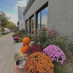 Exterior outside entrance of Not Your Average Joe - October 2022 - Oklahoma City, Oklahoma Exterior outside entrance of Not Your Average Joe - October 2022 - Oklahoma City, Oklahoma