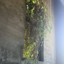 Silo City