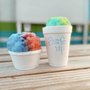 Surf's Up Hawaiian Shaved Ice