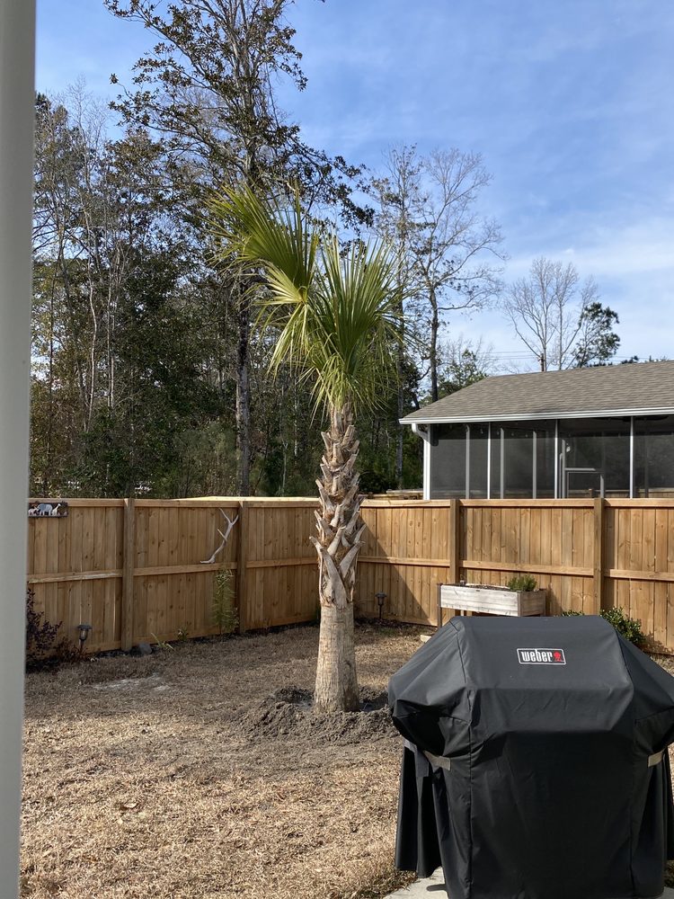 PREMIER PALMS PLUS Updated September 2024 25 Photos 7871