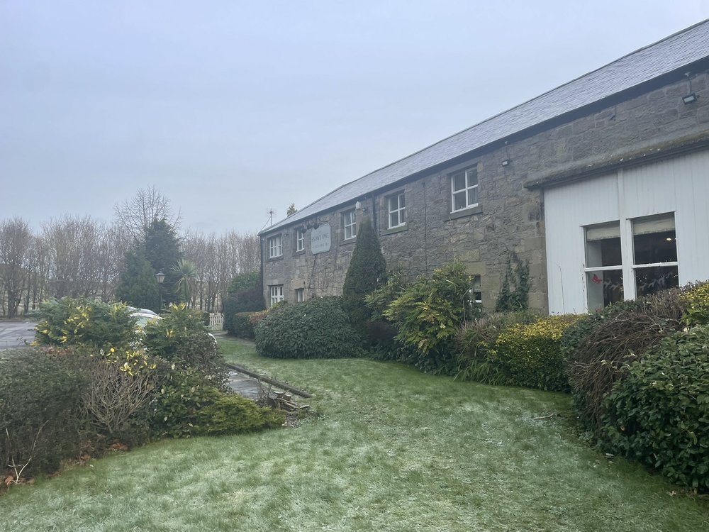 SNOWY OWL Updated April 2024 Blagdon Lane, Cramlington, Northumberland, United Kingdom