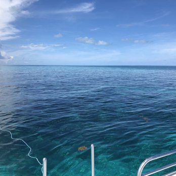 Paradise Island Charters - Snorkeling Near Me - Key Largo, Florida Paradise Island Charters - Snorkeling Near Me - Key Largo, Florida