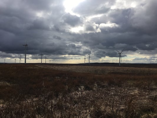 Whitelee wind farm by null
