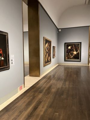 The Museum of Fine Arts, Houston by null