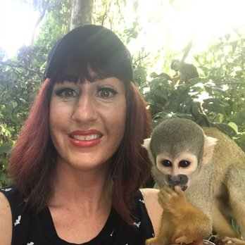 Monkey Jungle - Monkey jungle - Zoos Near Me - Miami, Florida