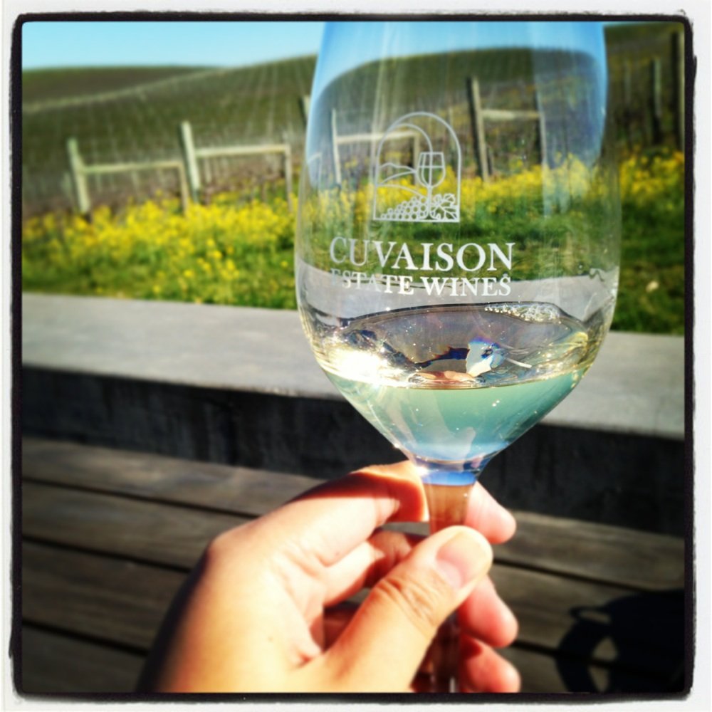 Cuvaison - 1st taste -- Chardonnay. Crisp, light, easy. - Wineries Near Me - Napa, California Cuvaison - 1st taste -- Chardonnay. Crisp, light, easy. - Wineries Near Me - Napa, California