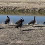 Photo of San Juan Reservior Park