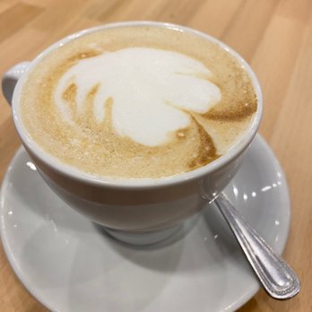 The Vienna Coffee House - Flat white with regular milk. - Coffee & Tea Near Me - Manchester, XGM The Vienna Coffee House - Flat white with regular milk. - Coffee & Tea Near Me - Manchester, XGM