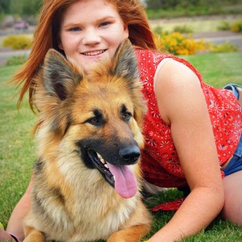 Abbott's German Shepherds - Pet Training Near Me Abbott's German Shepherds - Pet Training Near Me