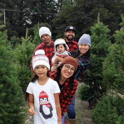 Crest Ranch Choose & Cut Christmas Trees