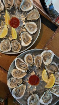 Catch of the Day by null