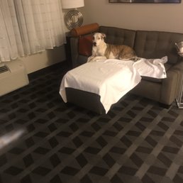 Buster relaxing