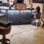 Norm's Painting & Services