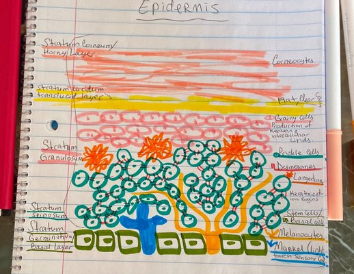 Atelier Esthetique Institute of Esthetics by null