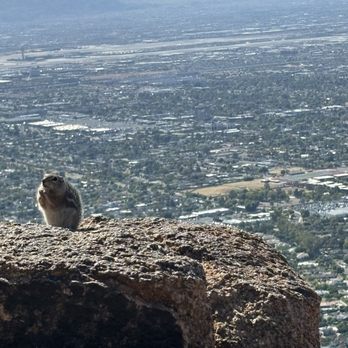 Echo Canyon Trail - Chipmunk - Hiking Near Me - Phoenix, Arizona