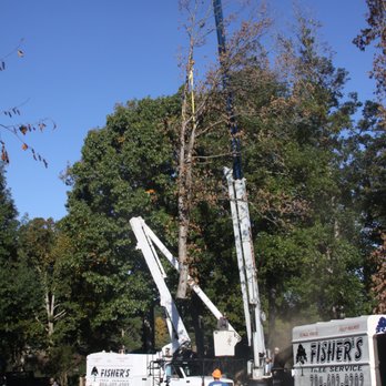 Fisher's Tree Service - a tree being removed - Landscaping Near Me - Shelby, North Carolina Fisher's Tree Service - a tree being removed - Landscaping Near Me - Shelby, North Carolina