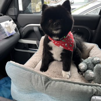 Paws R Us - Pet Groomers Near Me - Henderson, Nevada