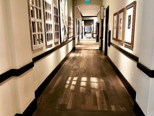 Hotel ZaZa Austin Downtown by null