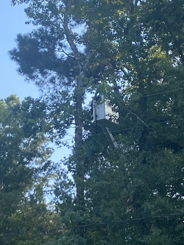 Frierson Lawn & Tree Service - tree service in Irondale, AL