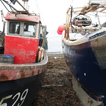 Minnie Moon - Cadgwith fishing boats - Cafes Near Me - Helston, CON Minnie Moon - Cadgwith fishing boats - Cafes Near Me - Helston, CON