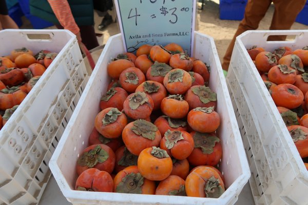 Santa Monica Saturday Pico Farmers Market by null