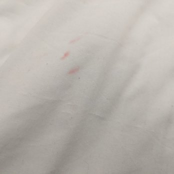 Holiday Inn Express & Suites Leander - Stained sheets - Hotels Near Me - Leander, Texas Holiday Inn Express & Suites Leander - Stained sheets - Hotels Near Me - Leander, Texas