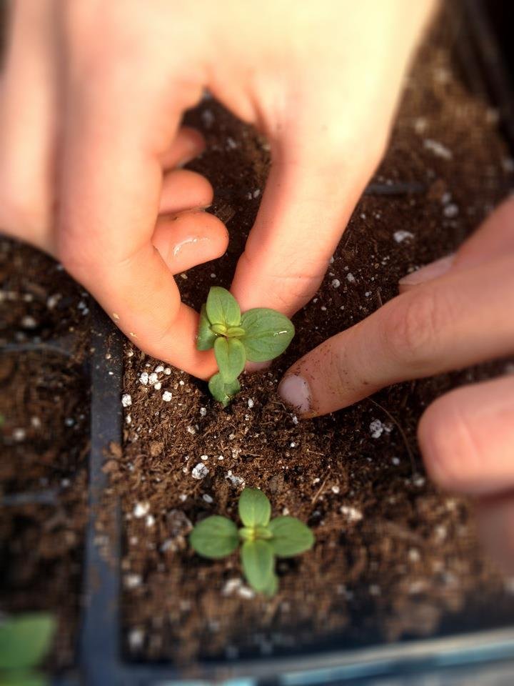 STAMP FARMS Updated September 2024 11 Photos 219 Comstock Pkwy