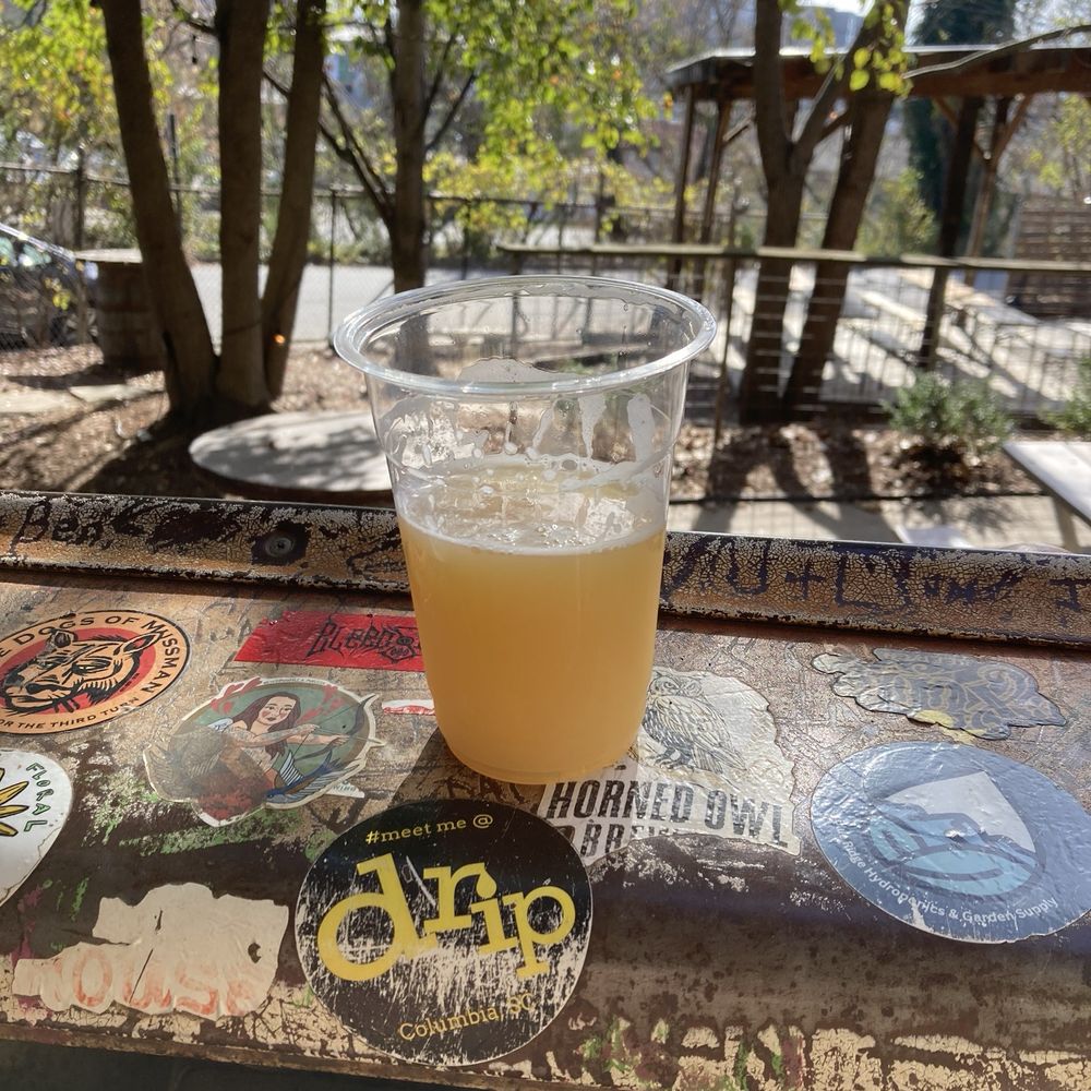 Burial Beer - Sitting in one of the cars in their garden - Breweries Near Me - Asheville, North Carolina