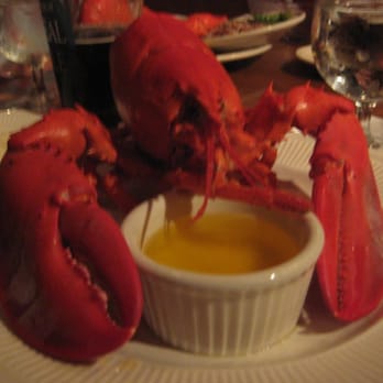 Galyn's - 1.25 lber ready for a crackin' good time - Seafood Near Me - Bar Harbor, Maine Galyn's - 1.25 lber ready for a crackin' good time - Seafood Near Me - Bar Harbor, Maine