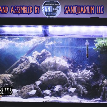 Saniquarium - First design project completed under the Saniquarium name.
Assembly and Scenery by Kyle of Saniquarium.
Tank and Stand: Marineland. - Aquarium Services Near Me - Columbus, Ohio Saniquarium - First design project completed under the Saniquarium name.
Assembly and Scenery by Kyle of Saniquarium.
Tank and Stand: Marineland. - Aquarium Services Near Me - Columbus, Ohio