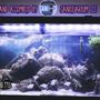 Photo of Saniquarium
