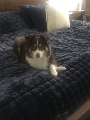 Now Boarding by null