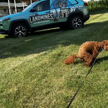 K9 Landmines - Murphy loves to pose with the poop machine! Lol.. - Pet Waste Removal Near Me - Knoxville, Tennessee K9 Landmines - Murphy loves to pose with the poop machine! Lol.. - Pet Waste Removal Near Me - Knoxville, Tennessee