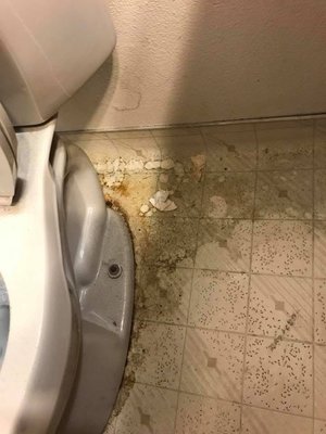 LDL Services & Maintenance