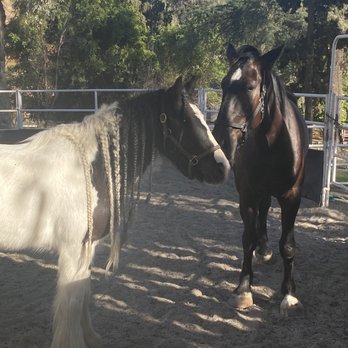 Encanto Equestrian Center - Hang out with friends is the best! - Horseback Riding Near Me - Duarte, California Encanto Equestrian Center - Hang out with friends is the best! - Horseback Riding Near Me - Duarte, California