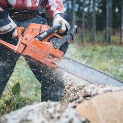 BladeWorx - Chainsaw chain Sharpening